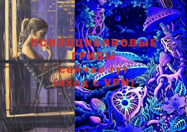 твердый Михайловка