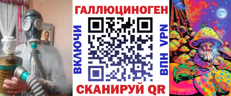 наркота  Цоци-Юрт  Галлюциногенные грибы Psilocybine cubensis 