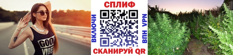 МАРИХУАНА гибрид  Цоци-Юрт 
